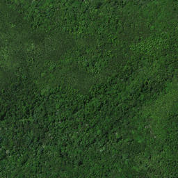 Satellite imagery of B PAIKAURI, NZ