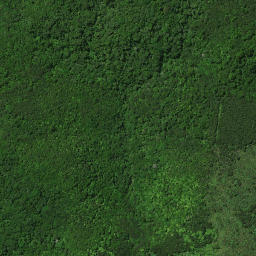 Satellite imagery of B PAIKAURI, NZ