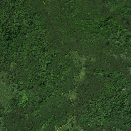 Satellite imagery of B PAIKAURI, NZ