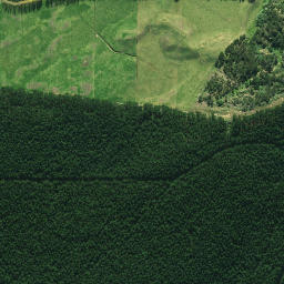 Satellite imagery of 1878, NZ