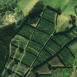 Satellite imagery of 1878, NZ