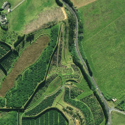 Satellite imagery of 1878, NZ