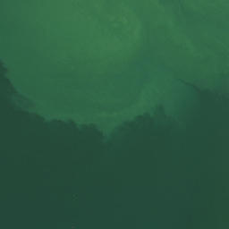 Satellite imagery of Kauri Point, NZ