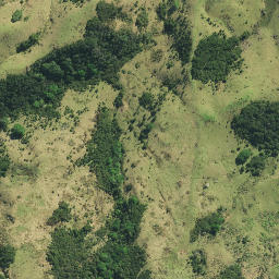 Satellite imagery of KARANGI NO 2, NZ