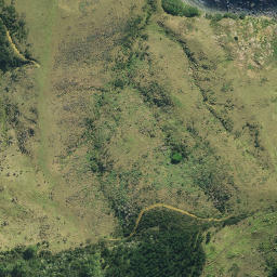 Satellite imagery of 871, NZ