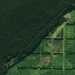 Satellite imagery of 1878, NZ