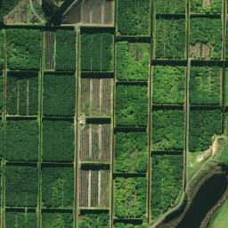 Satellite imagery of 1878, NZ