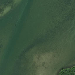 Satellite imagery of Prices Point, NZ