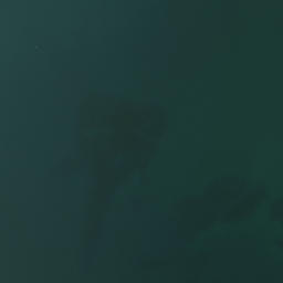 Satellite imagery of Otanenui Pa, NZ