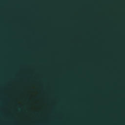 Satellite imagery of Te Homamu Pa, NZ