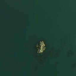 Satellite imagery of Te Homamu Pa, NZ