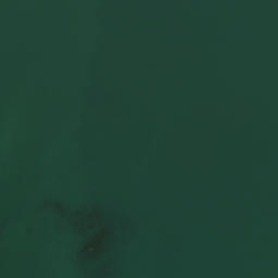 Satellite imagery of Te Homamu Pa, NZ