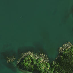 Satellite imagery of Kauri Point, NZ