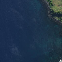 Satellite imagery of Pakuru Point, NZ