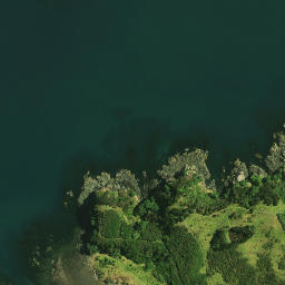 Satellite imagery of Te Homamu Pa, NZ