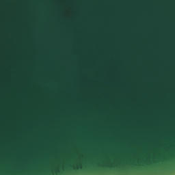 Satellite imagery of Te Homamu Pa, NZ