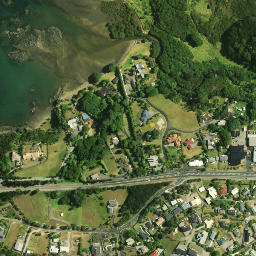 Satellite imagery of Te Homamu Pa, NZ