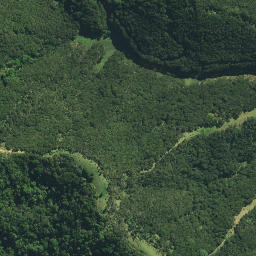 Satellite imagery of Whitinui Pa, NZ