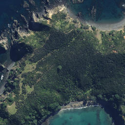 Satellite imagery of Pakuru Point, NZ