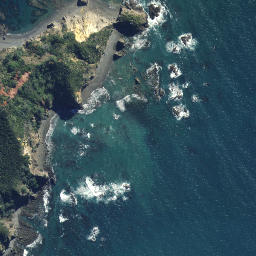 Satellite imagery of Pakuru Point, NZ
