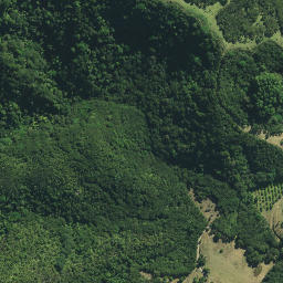 Satellite imagery of Whitinui Pa, NZ