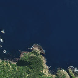 Satellite imagery of North Head, NZ
