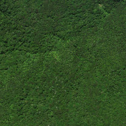 Satellite imagery of 16 AKATERE, NZ