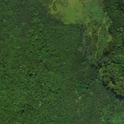 Satellite imagery of 16 AKATERE, NZ