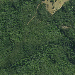 Satellite imagery of Whitinui Pa, NZ