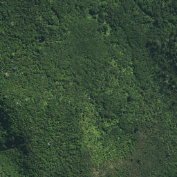 Satellite imagery of Huia Rock, NZ