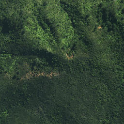 Satellite imagery of Huia Rock, NZ