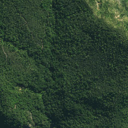 Satellite imagery of North Head, NZ