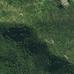 Satellite imagery of North Head, NZ
