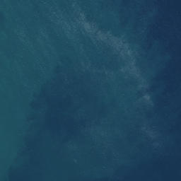 Satellite imagery of South Head, NZ