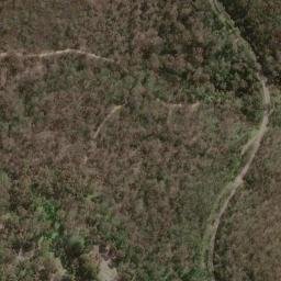 Satellite imagery of Old Government House, AU