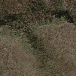 Satellite imagery of Old Government House, AU