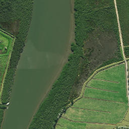 Satellite imagery of Long Point, NZ