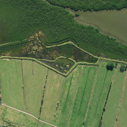 Satellite imagery of Long Point, NZ
