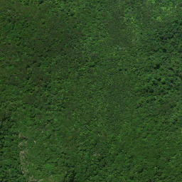 Satellite imagery of 16 AKATERE, NZ