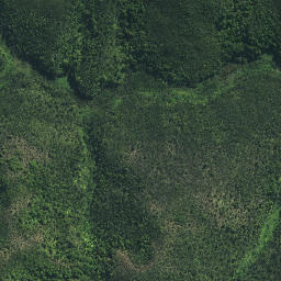 Satellite imagery of Kairara Rock (Dukes Nose), NZ