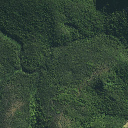 Satellite imagery of Kairara Rock (Dukes Nose), NZ