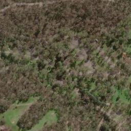 Satellite imagery of Old Government House, AU