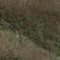 Satellite imagery of Old Government House, AU