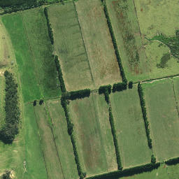 Satellite imagery of RCM 15 SO 62667, NZ