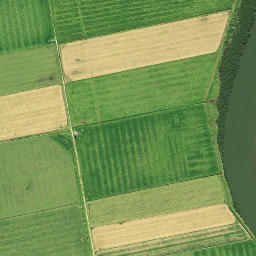 Satellite imagery of Long Point, NZ