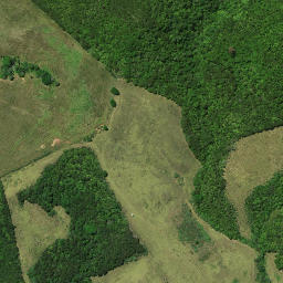 Satellite imagery of 16 AKATERE, NZ