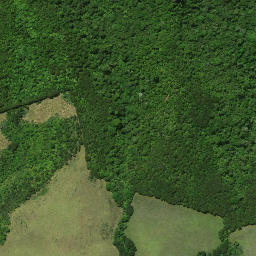 Satellite imagery of 16 AKATERE, NZ