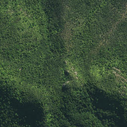 Satellite imagery of Kairara Rock (Dukes Nose), NZ