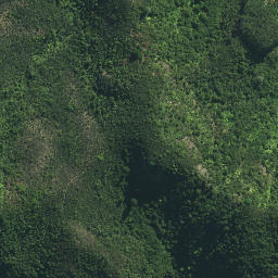 Satellite imagery of Kairara Rock (Dukes Nose), NZ