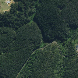 Satellite imagery of Rawitiroa Pa, NZ